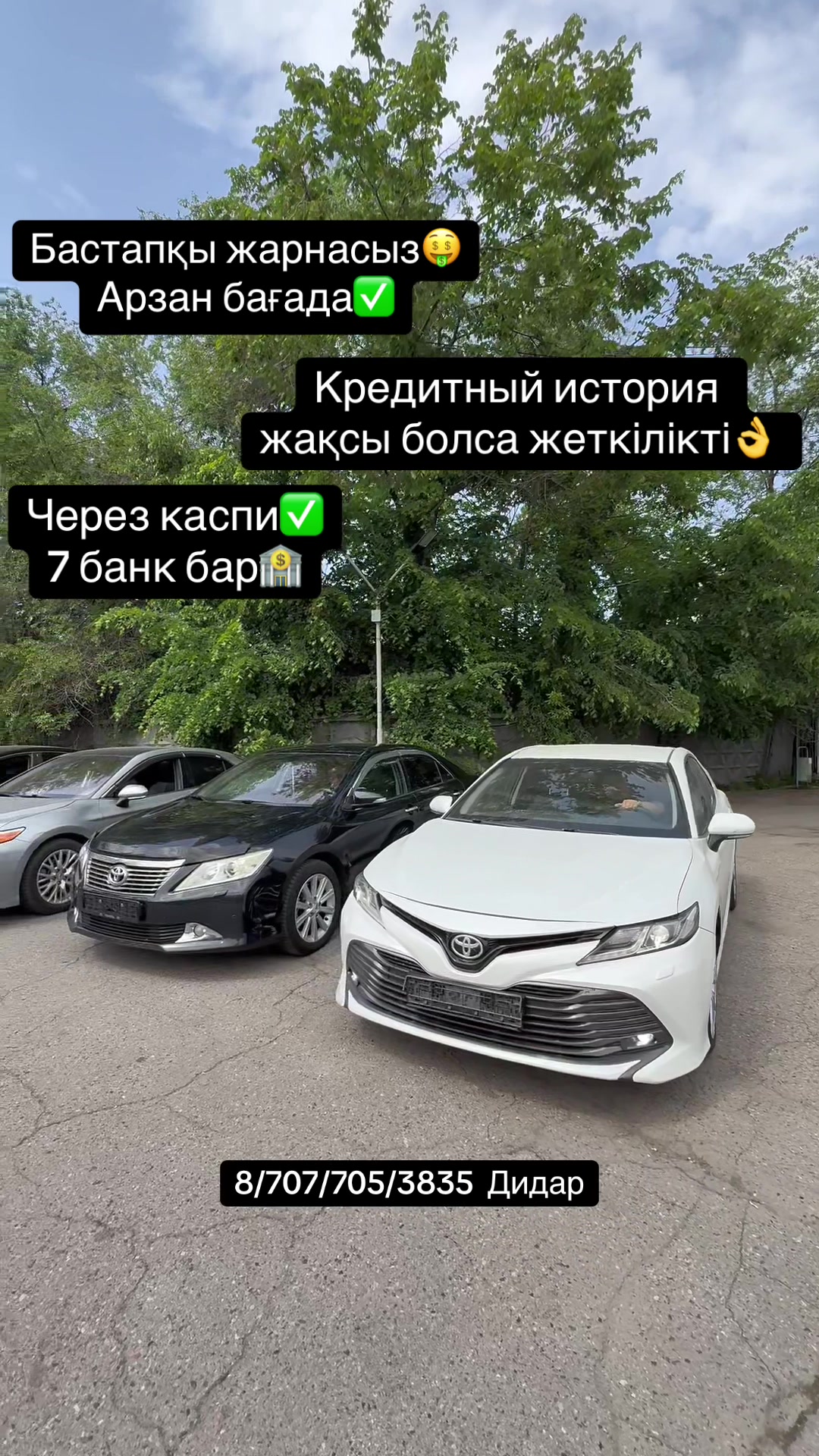 @bay_cars