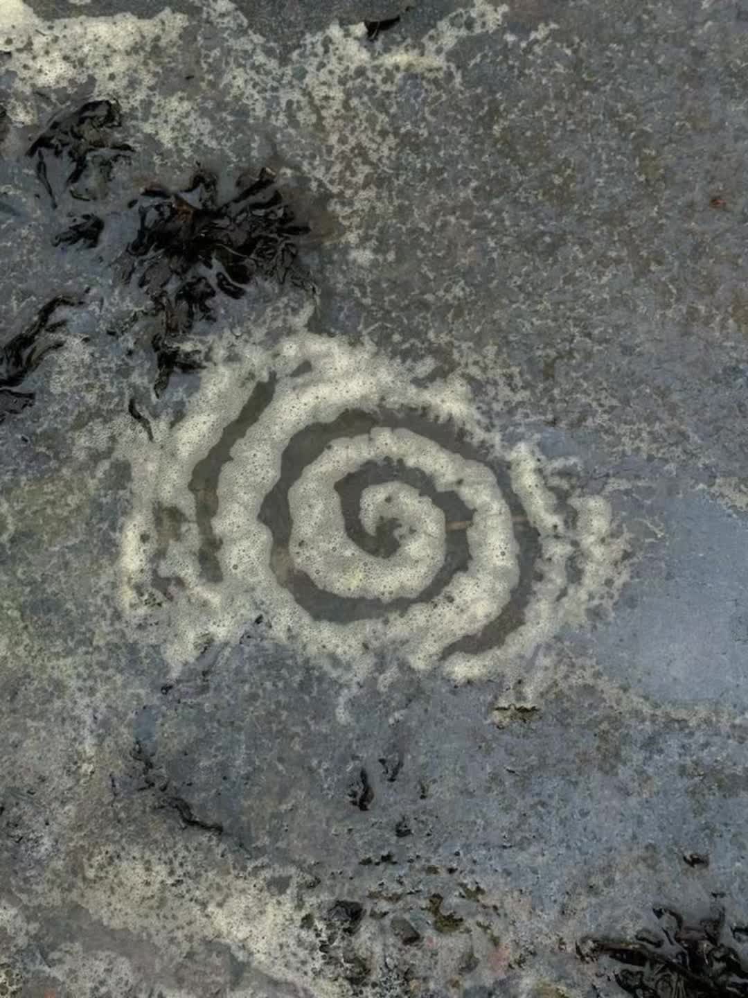 @🌀