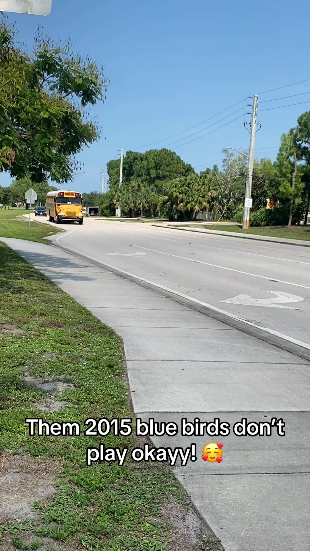 @palmbeachtransportation