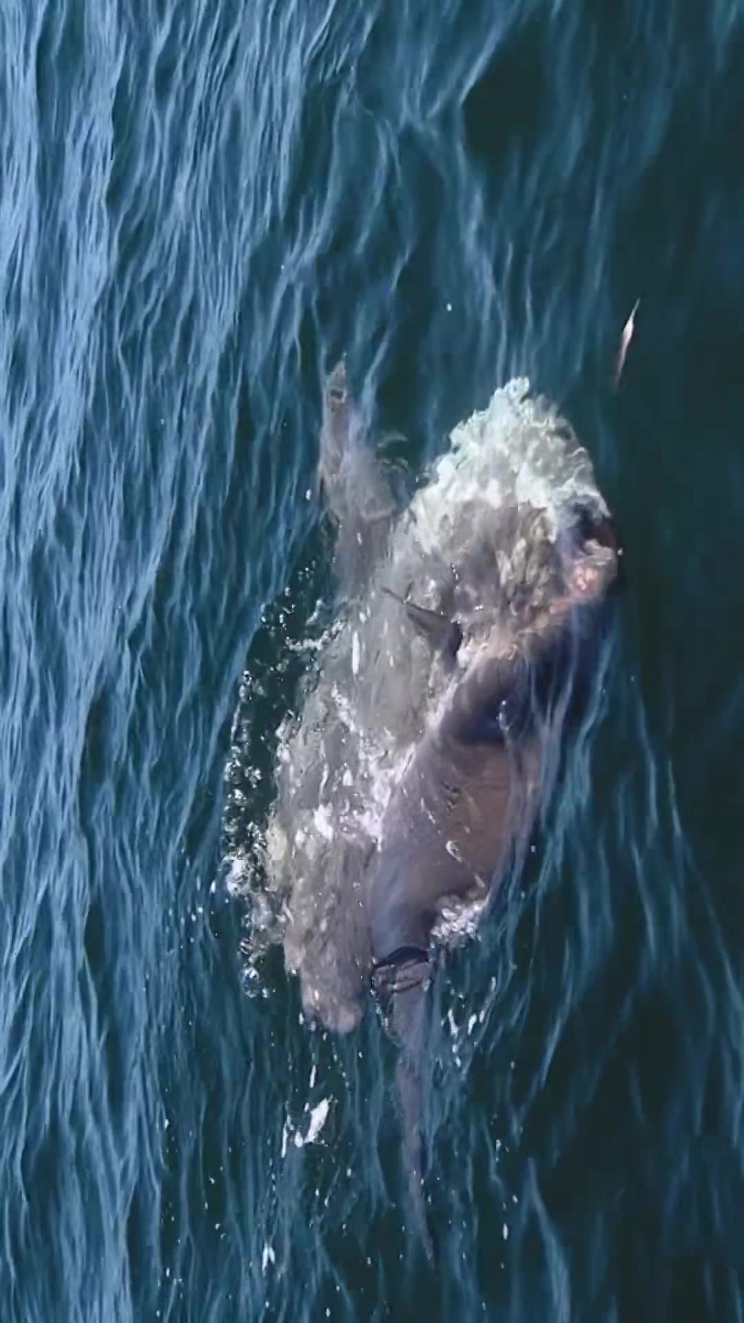 @carterandrewsfishing