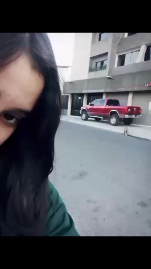 @🍃