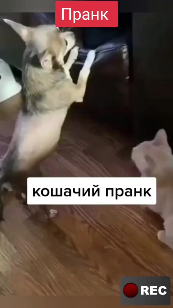 @Лариса