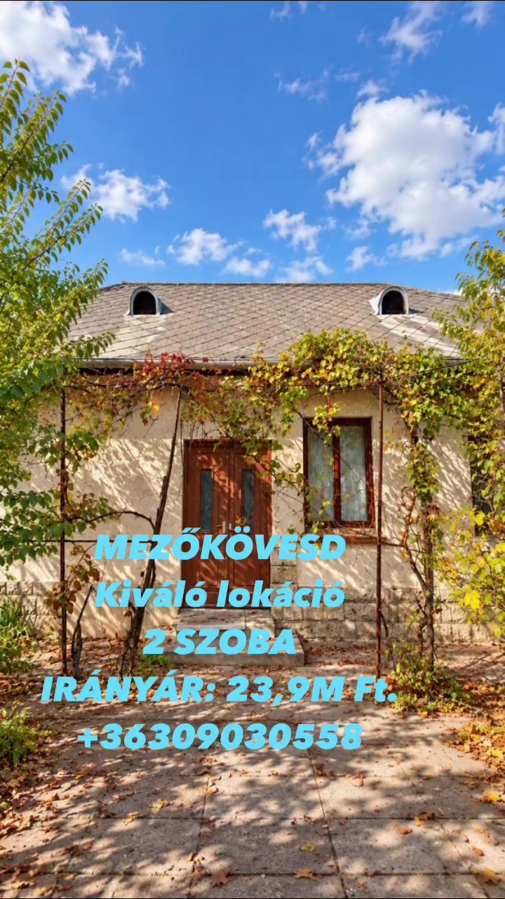 @TOP INGATLAN MEZŐK&Ouml;VESD