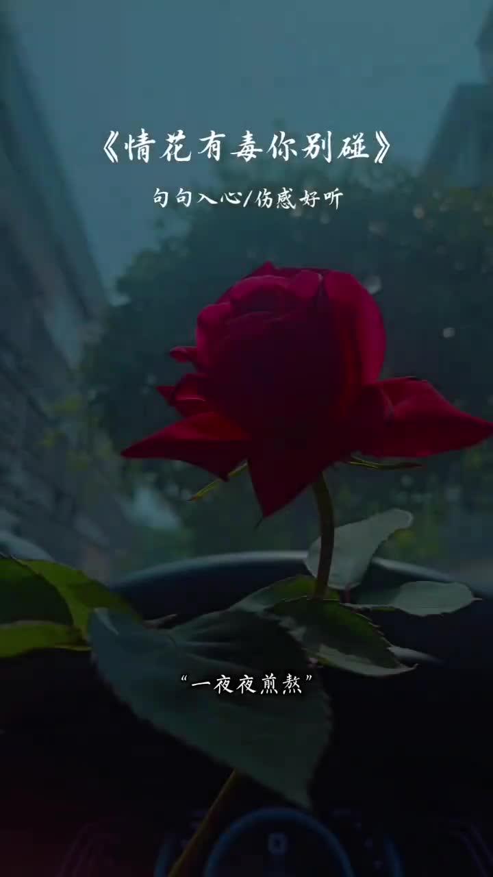 @ᰔᩚ᭄ℛ人心❤️难测꧔ꦿᩚ࿐🕊