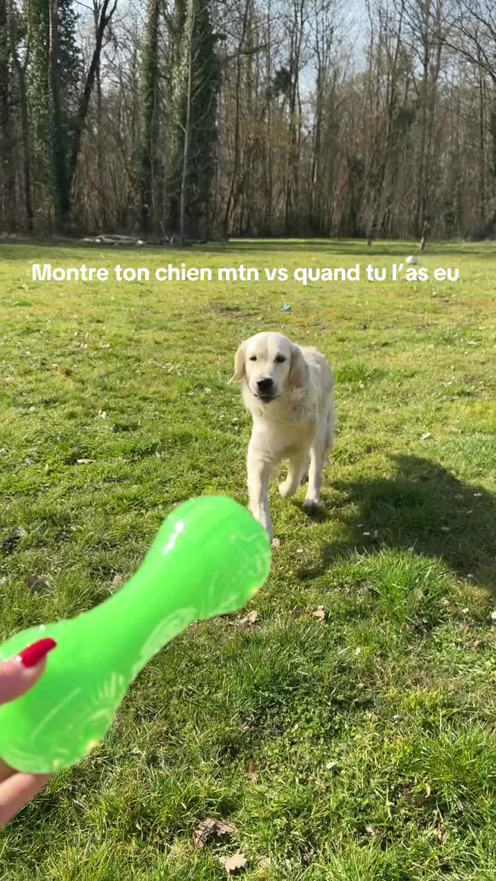 @laurine