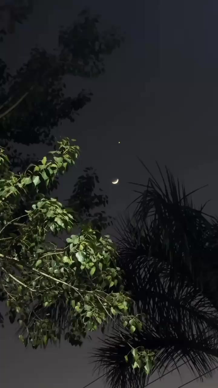 @𝐒ᡣ𐭩࣪⋆
