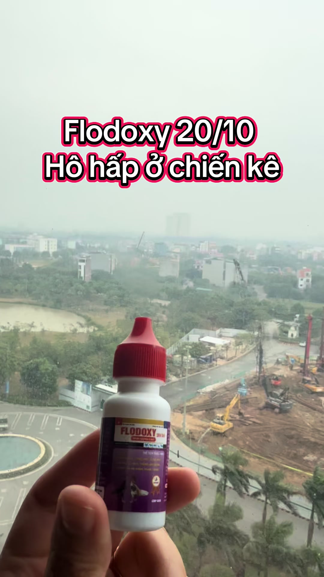 @Store Chiến Kê Huyền 99