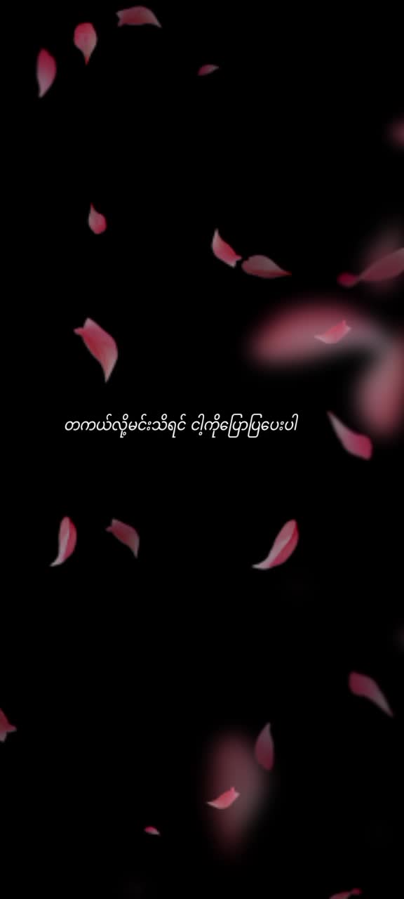 @Shwe Zin May