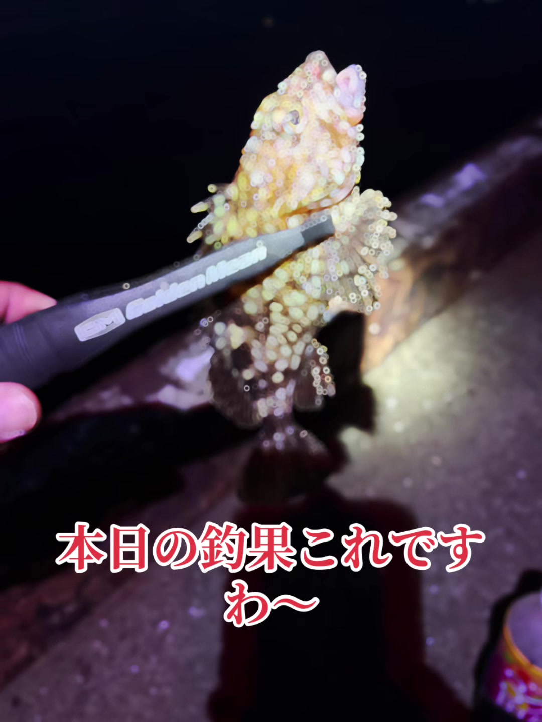 @࿗༺ 𝓚𝓪𝓽𝓾𝔂𝓪  ༻࿘