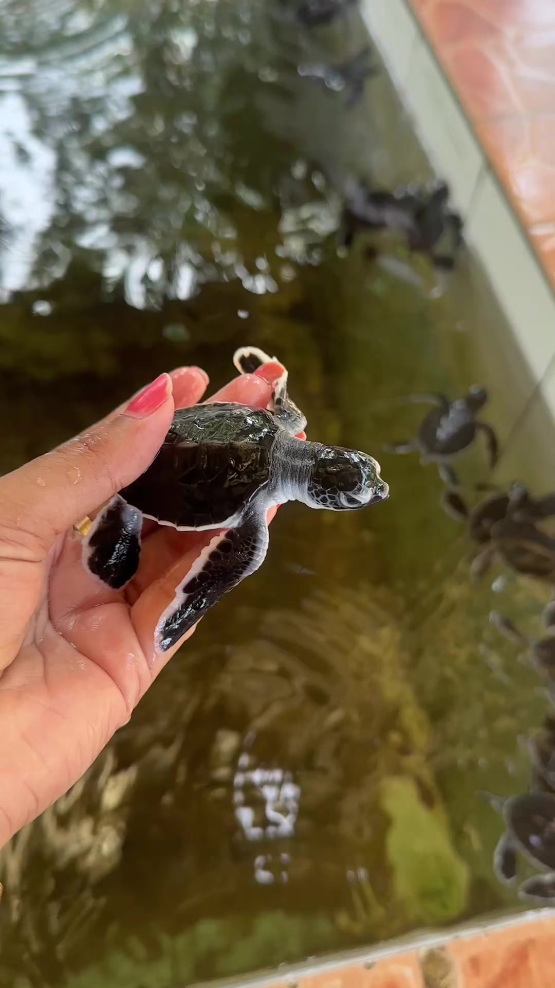 @🦋 පොඩි සෙව්වා 🦋