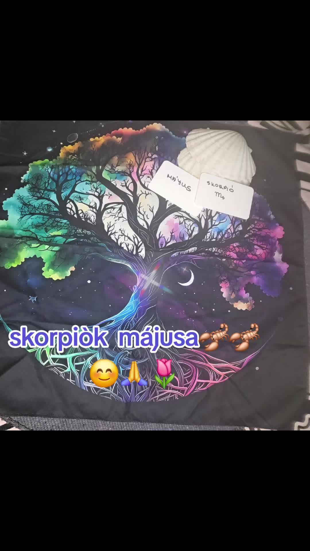 @szakr&aacute;lis var&aacute;zs
