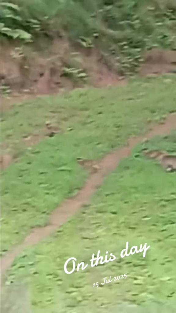 @थानेश्वर ज्ञवाली