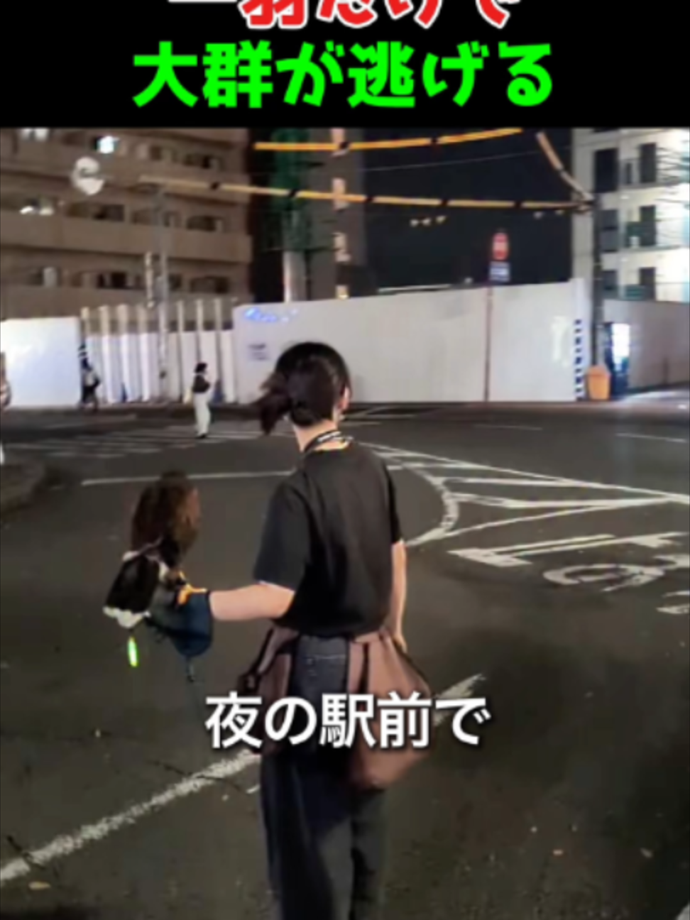 @海外ざんまい