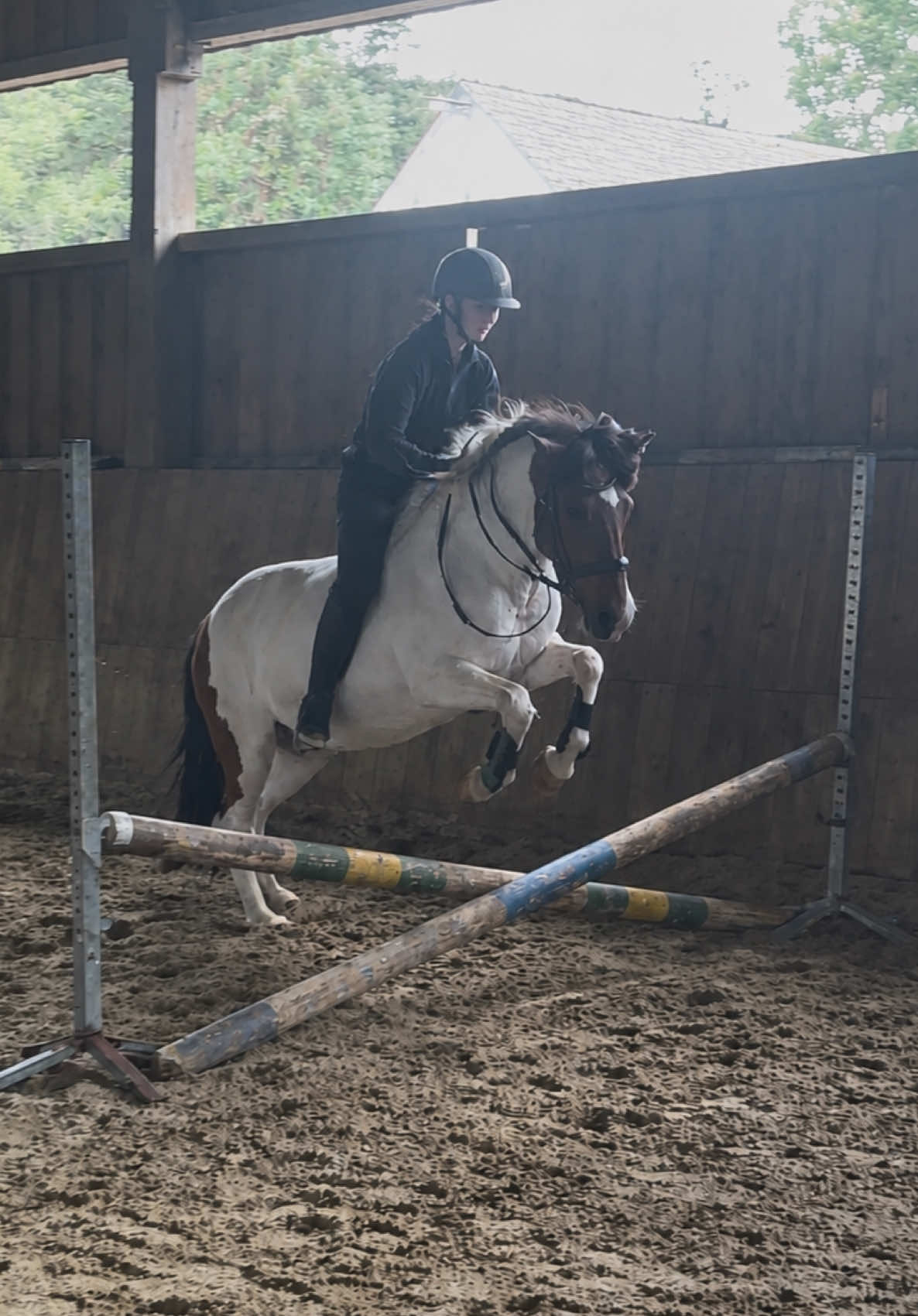 @annalisa.equestrian