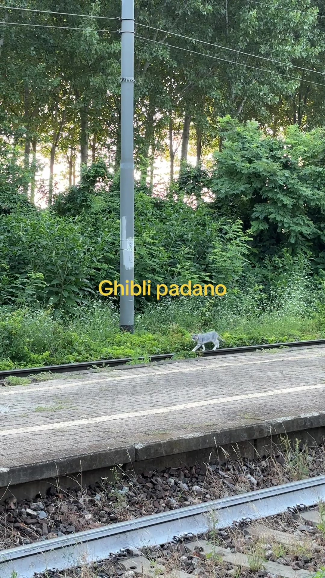 @Monica Magnani