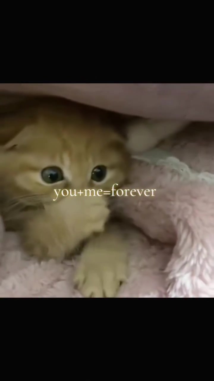 @♡ilyTOMMY♡ ✮⋆˙