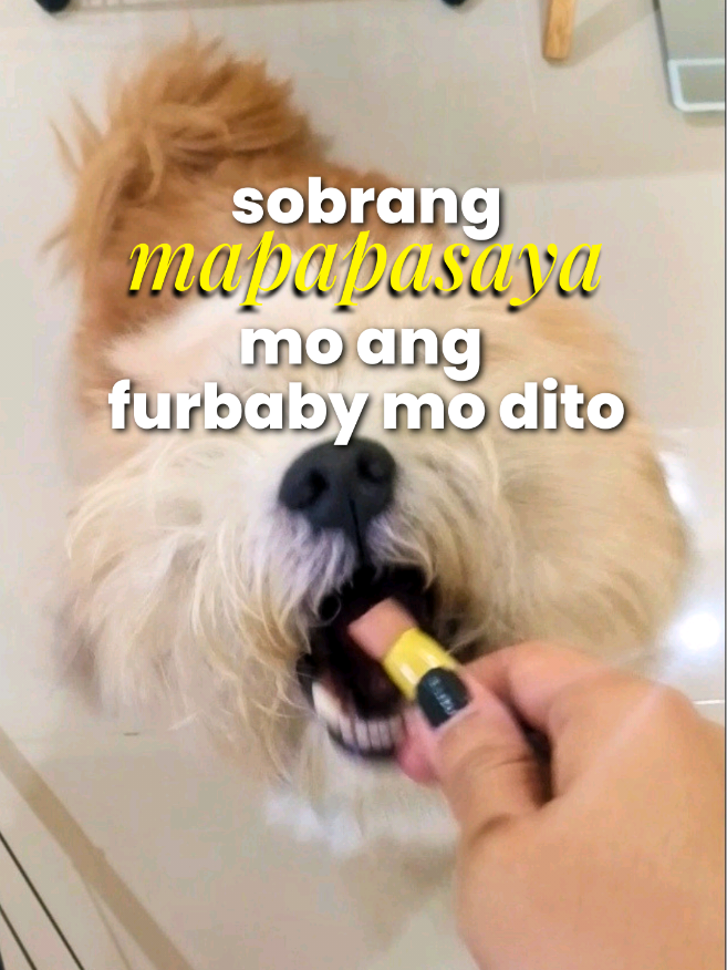 @Idol Budol | TikTok Shop Finds