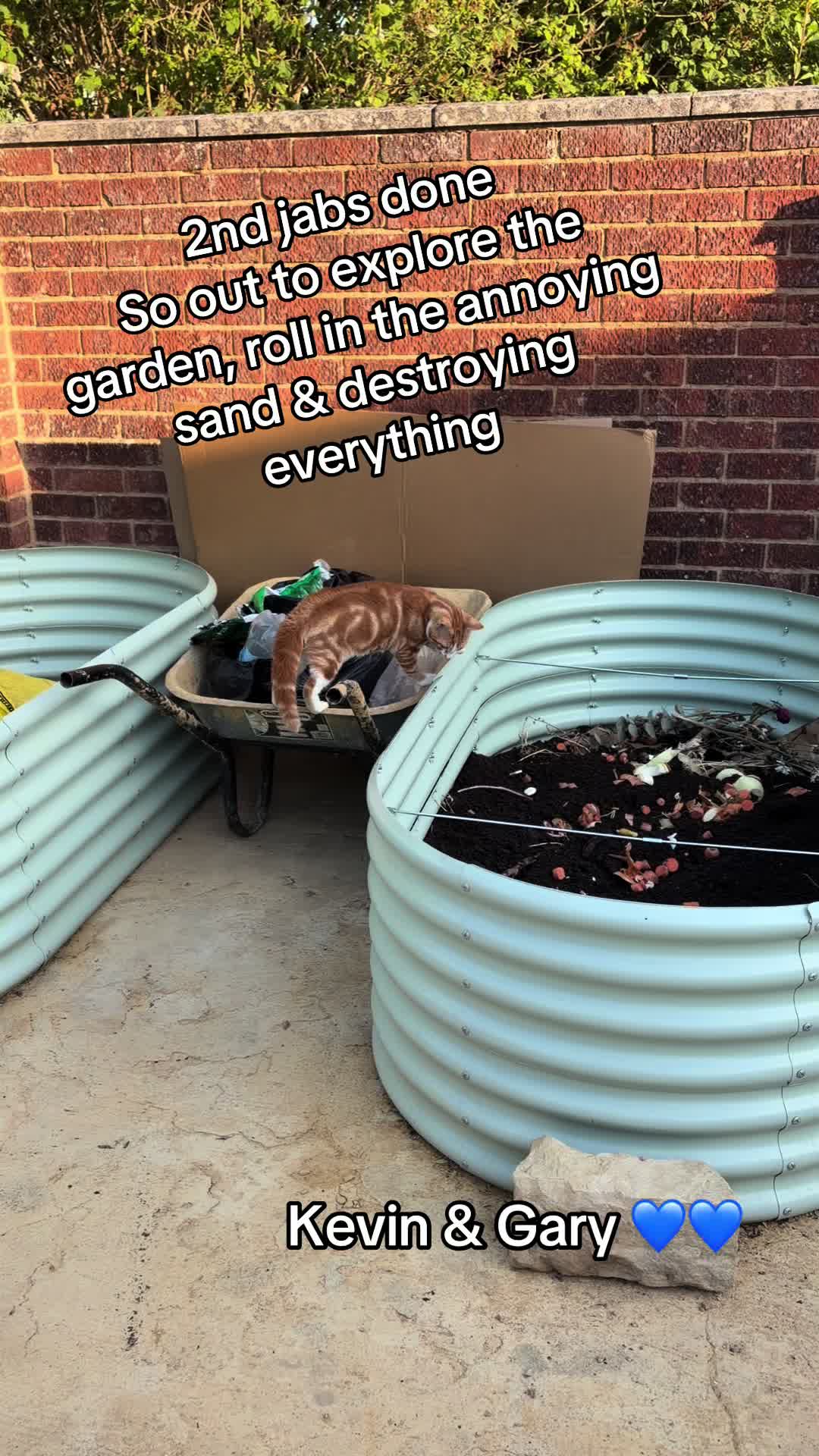 @🥦 Gardening & Gardening 