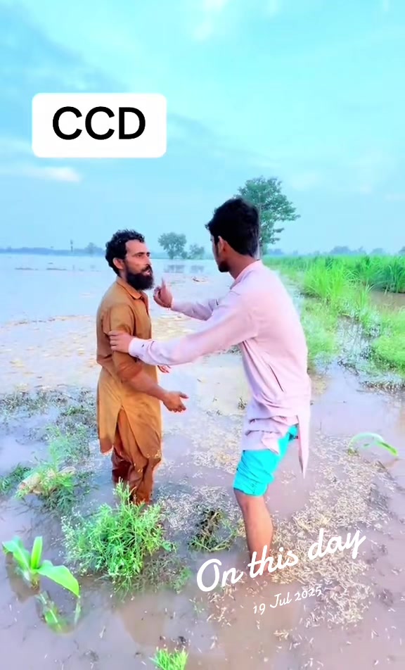 @پینڈو بوائز 378