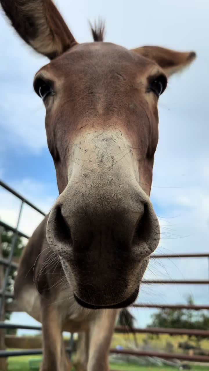 @jacksonridgefarm