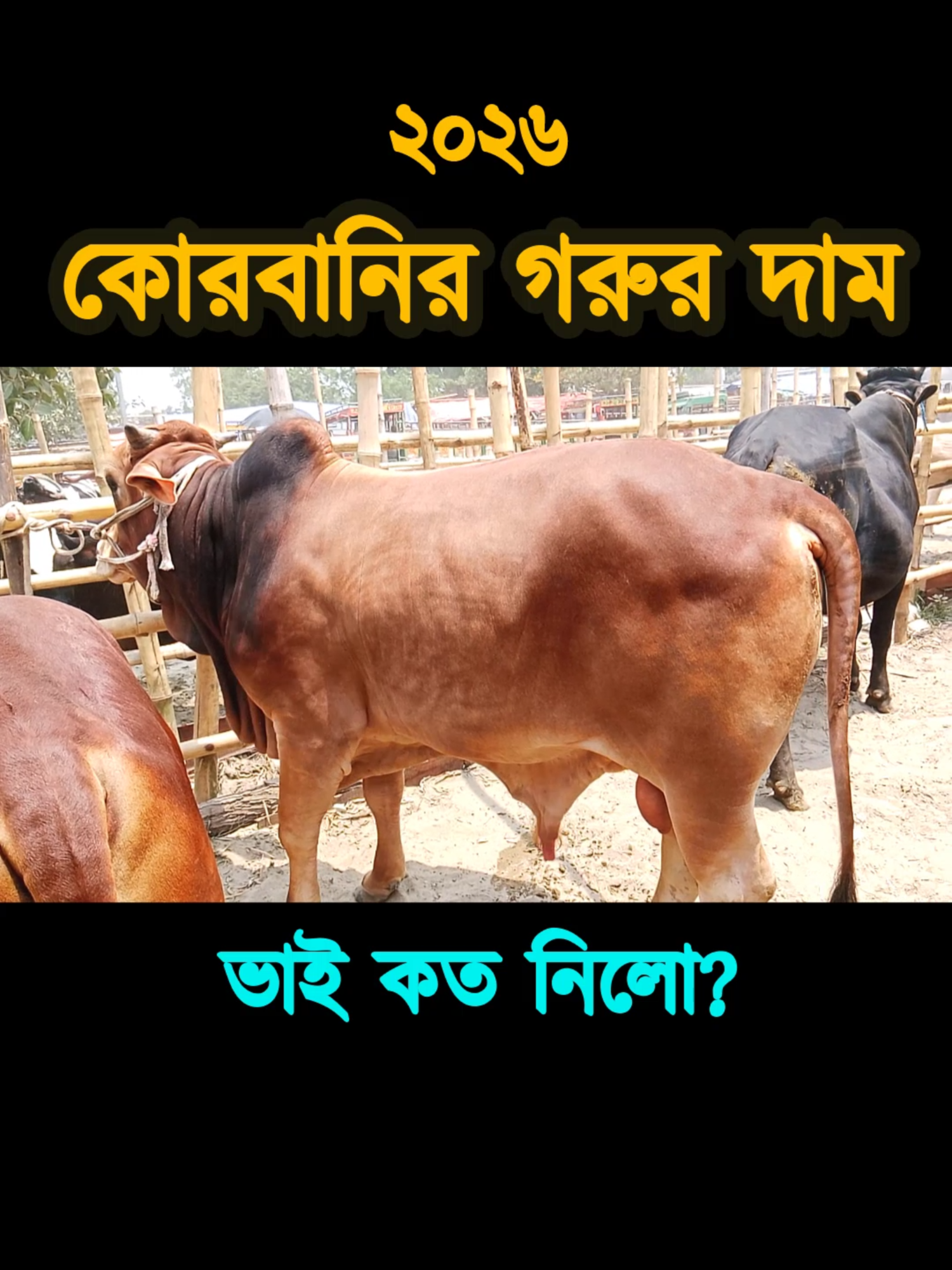 @Nayeem Islam