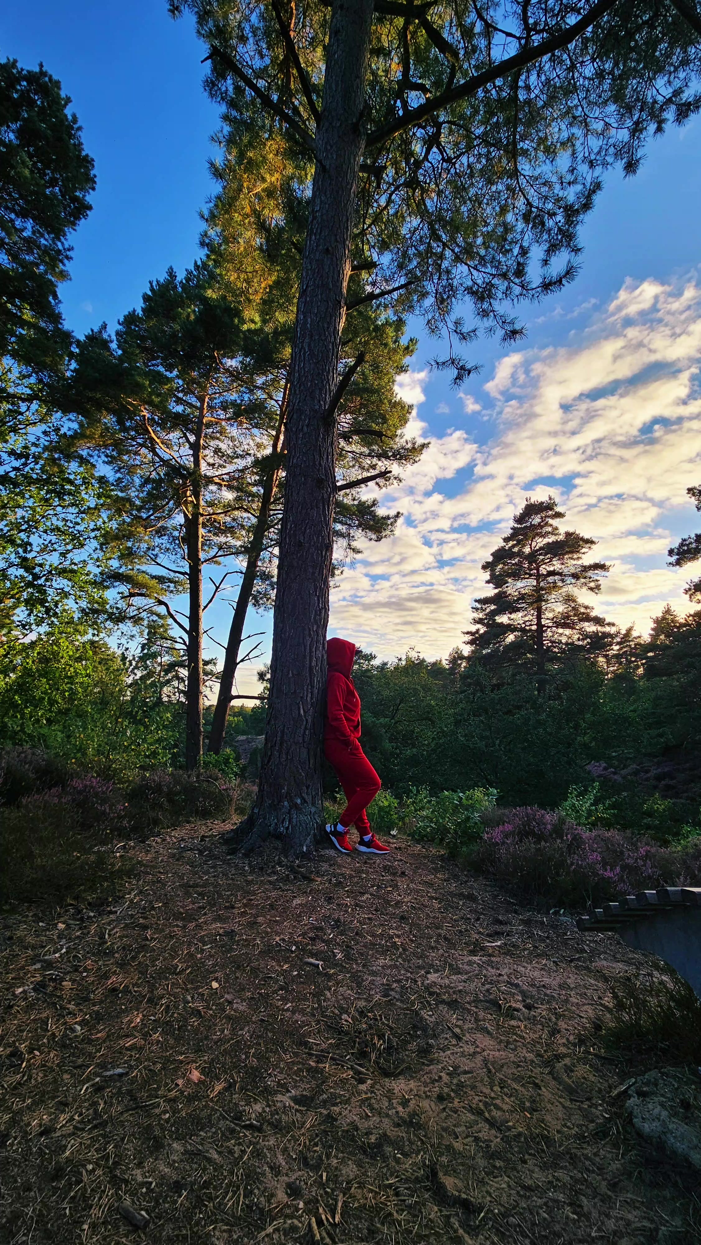 @🤍💙❤️