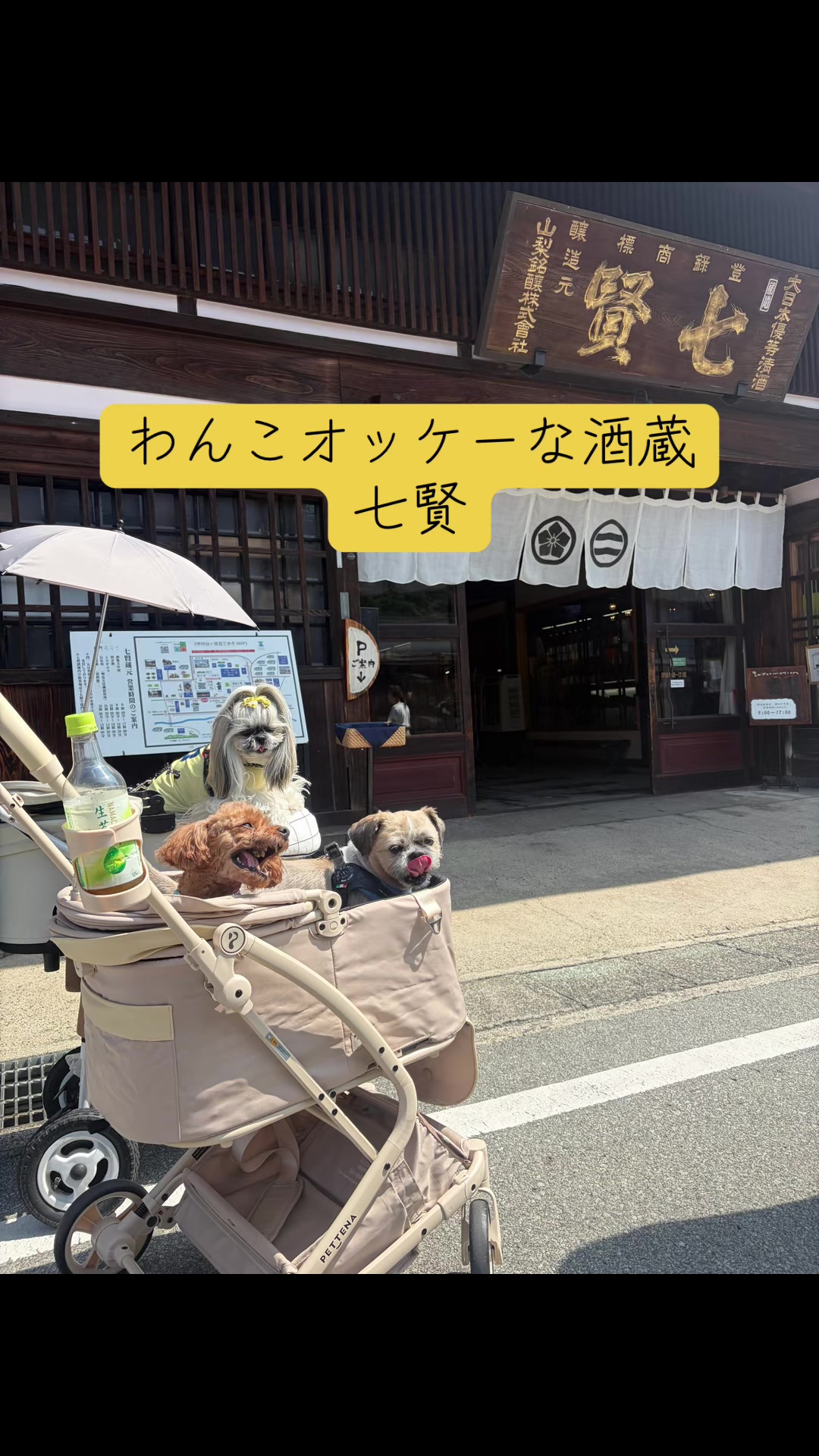@ラフィン🐱💜🍡