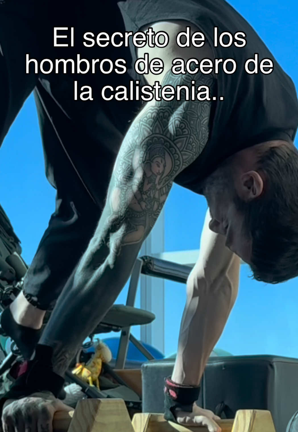 @francoaven18