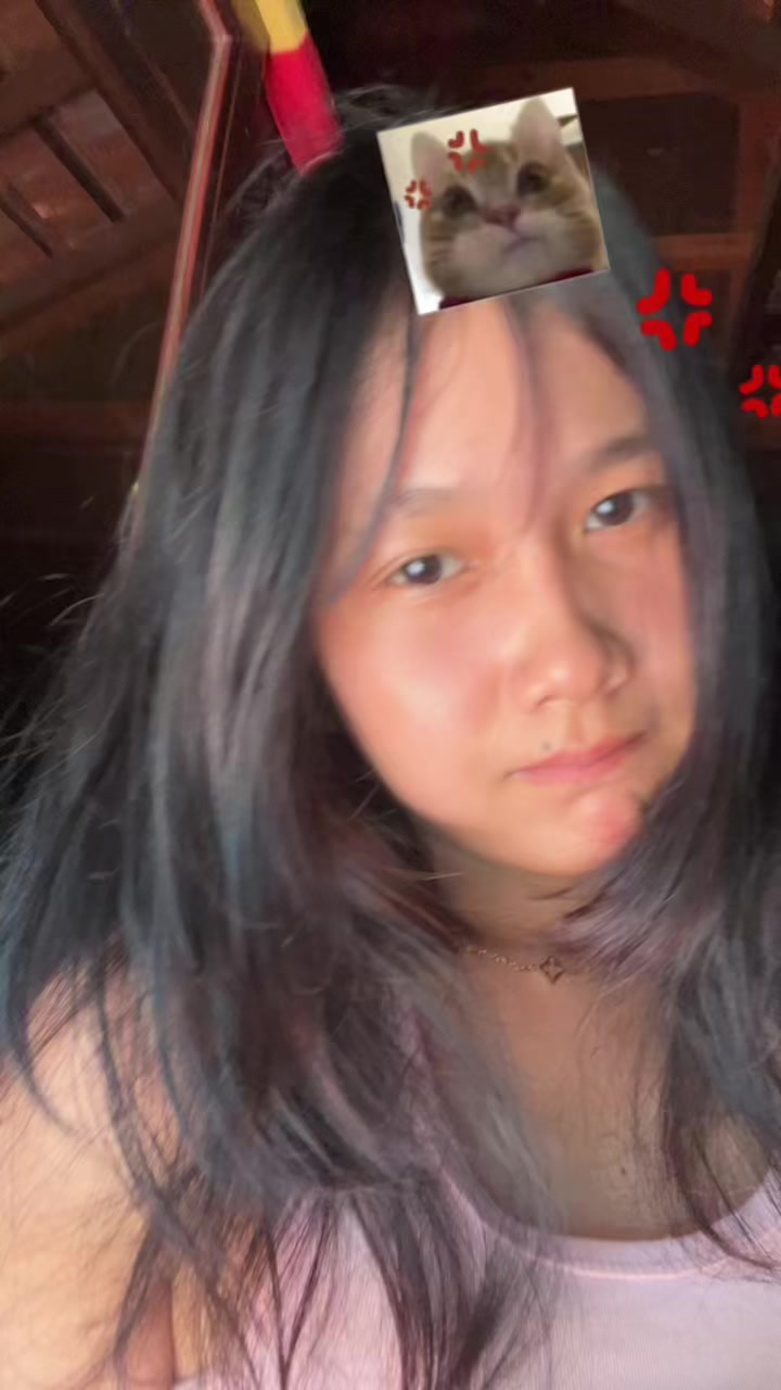 @KDMV