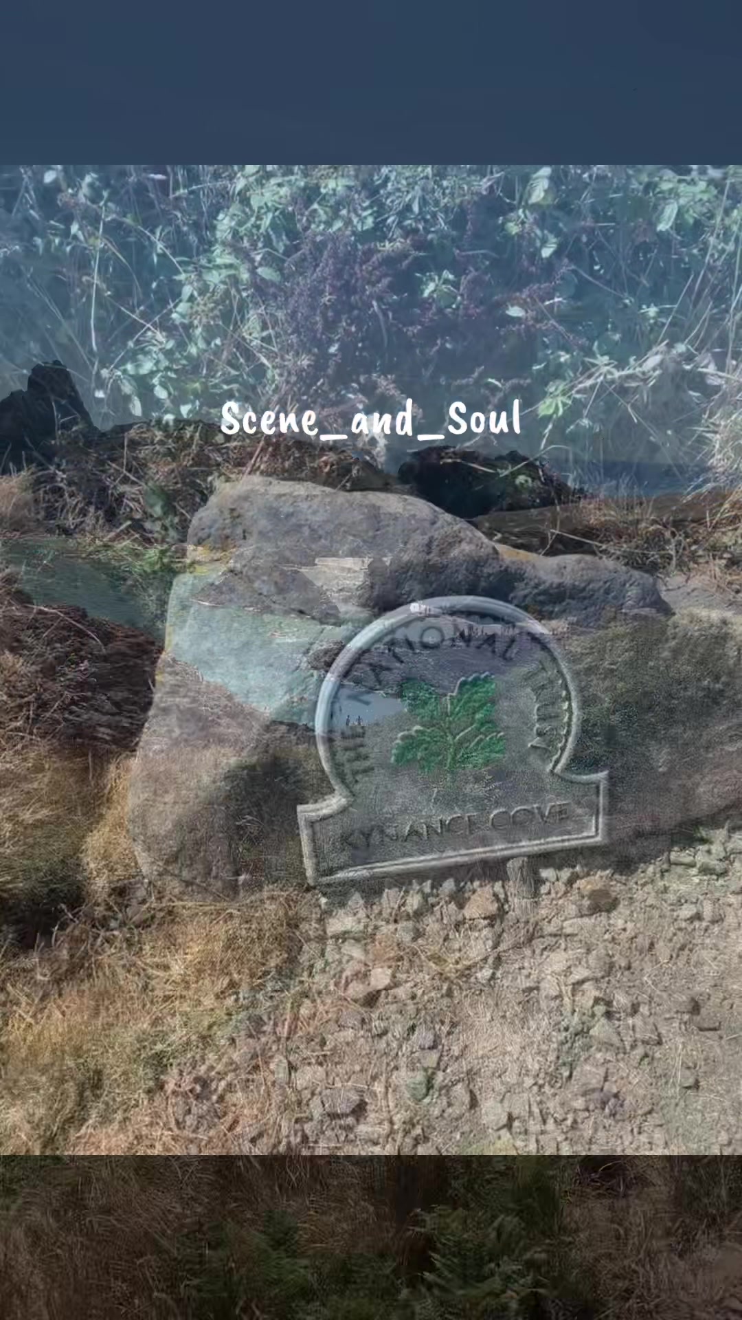 @scene_and_sou1