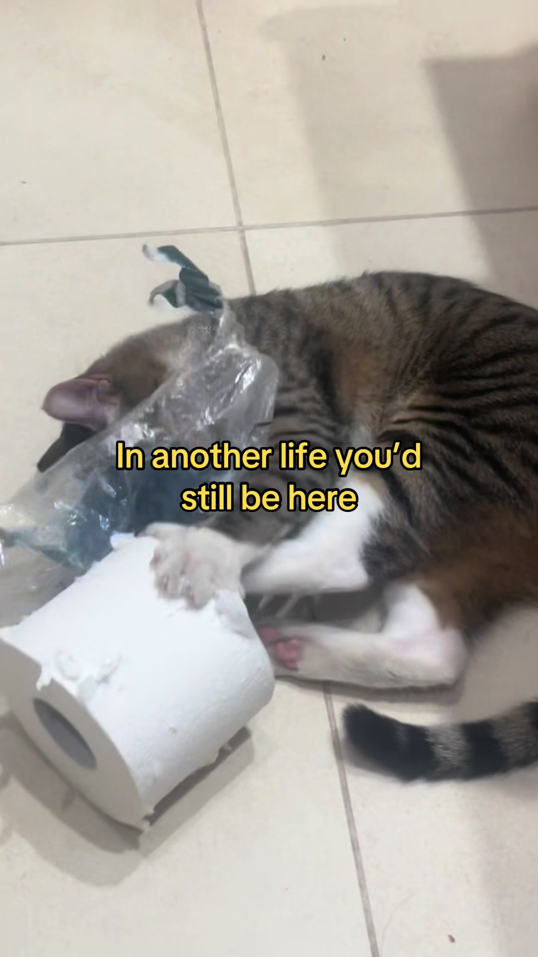 @🍓Ave 🍓