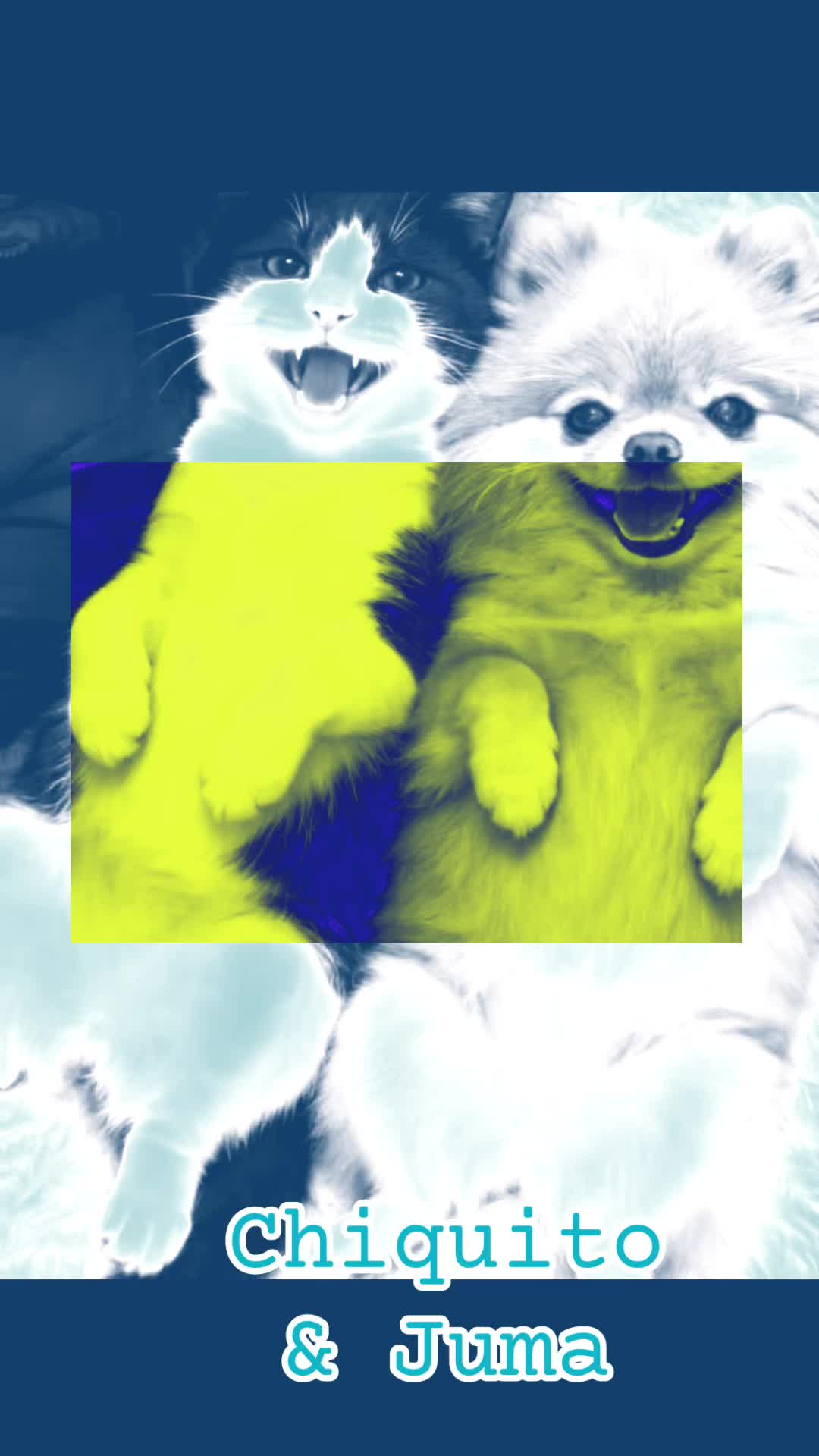@Sami ๐ฎ๐น๐ง๐ท