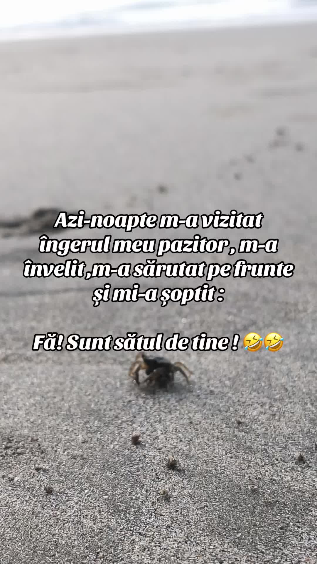 @Andreea