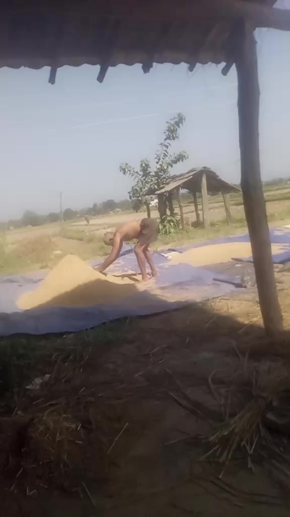 @shantagautam