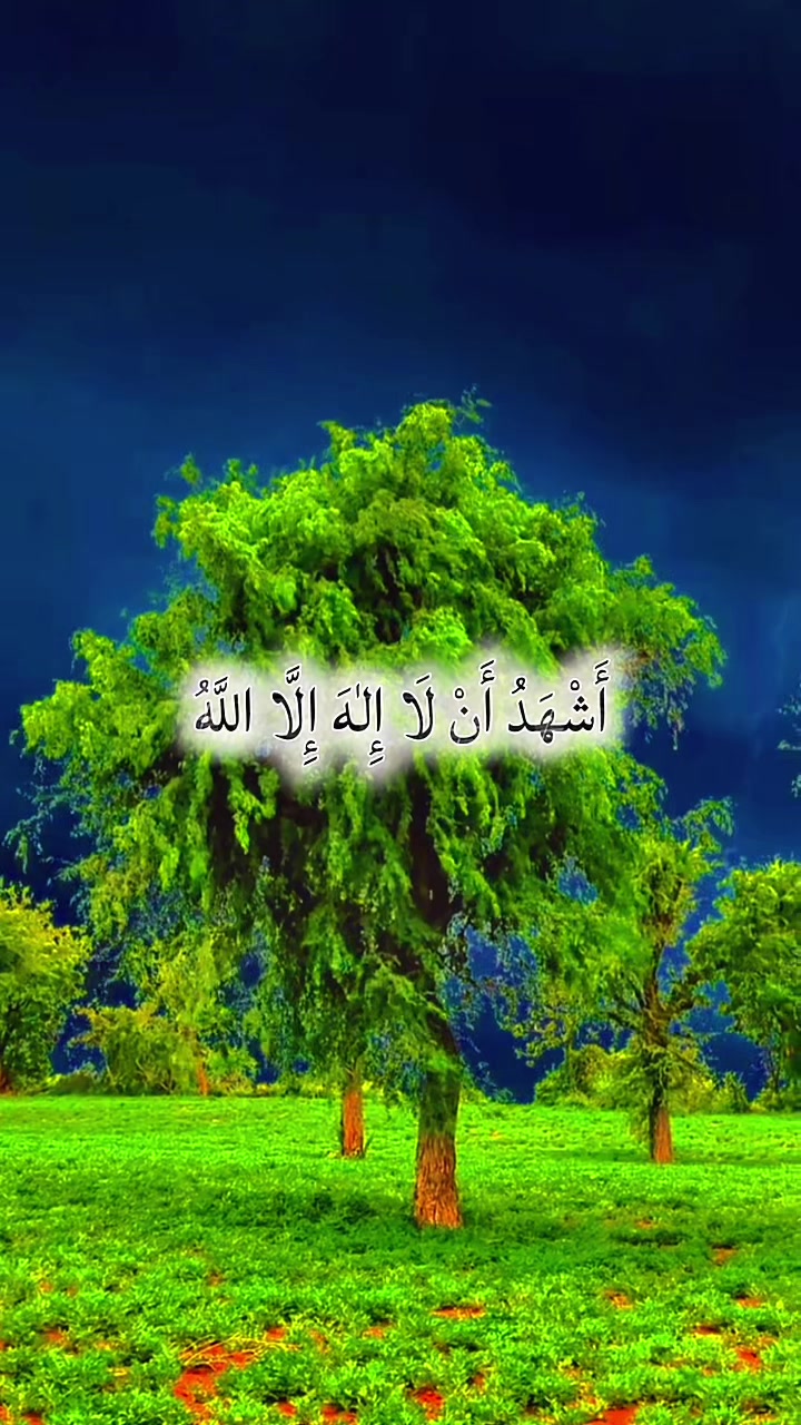 @allah waly