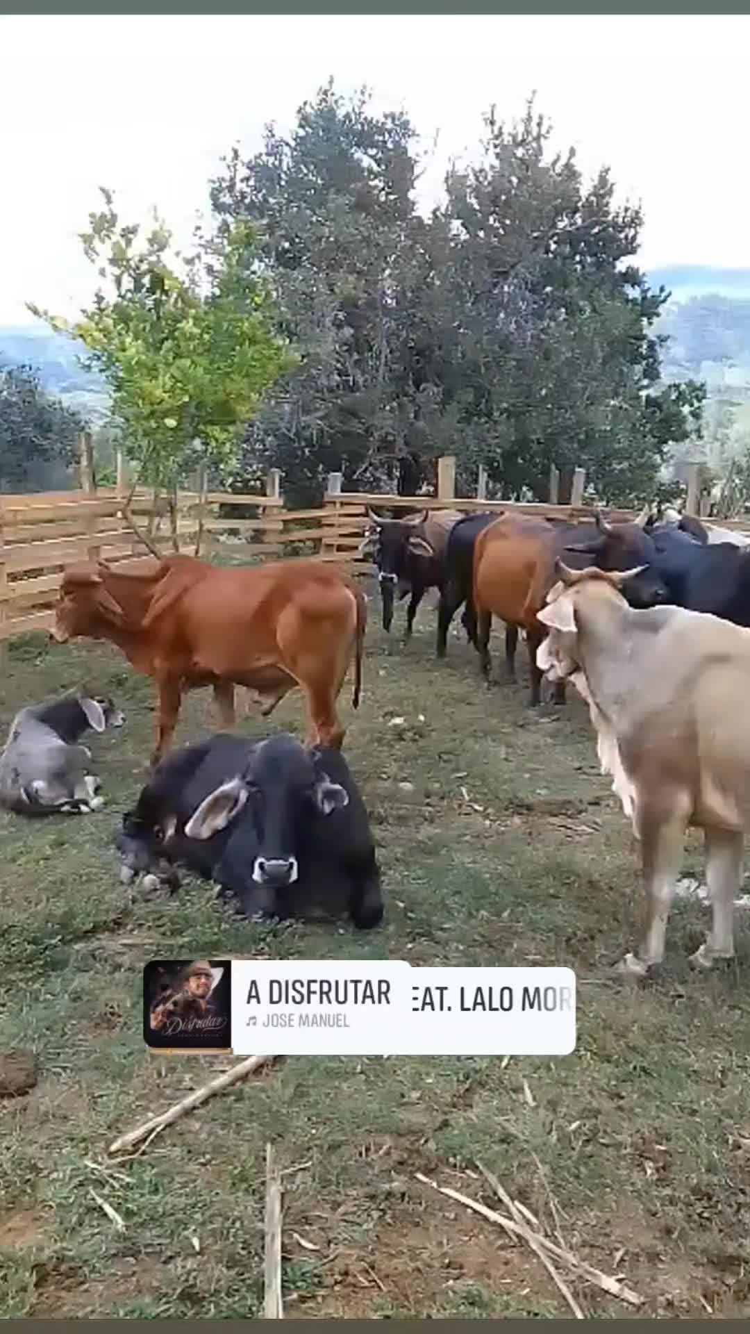 @Leonel 504