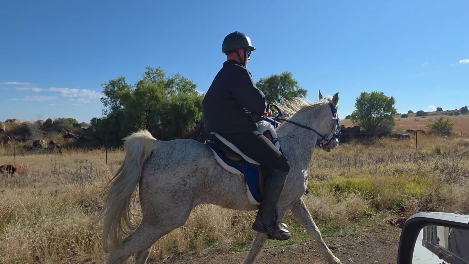 @uitzicht_arabian_stud