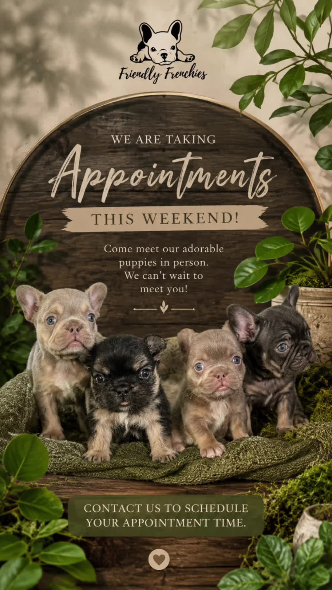 @FriendlyFrenchiesOC