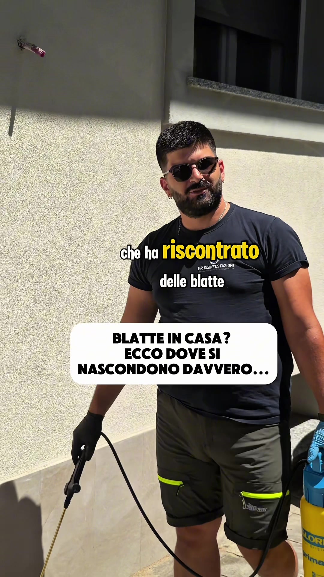 @FP Disinfestazioni
