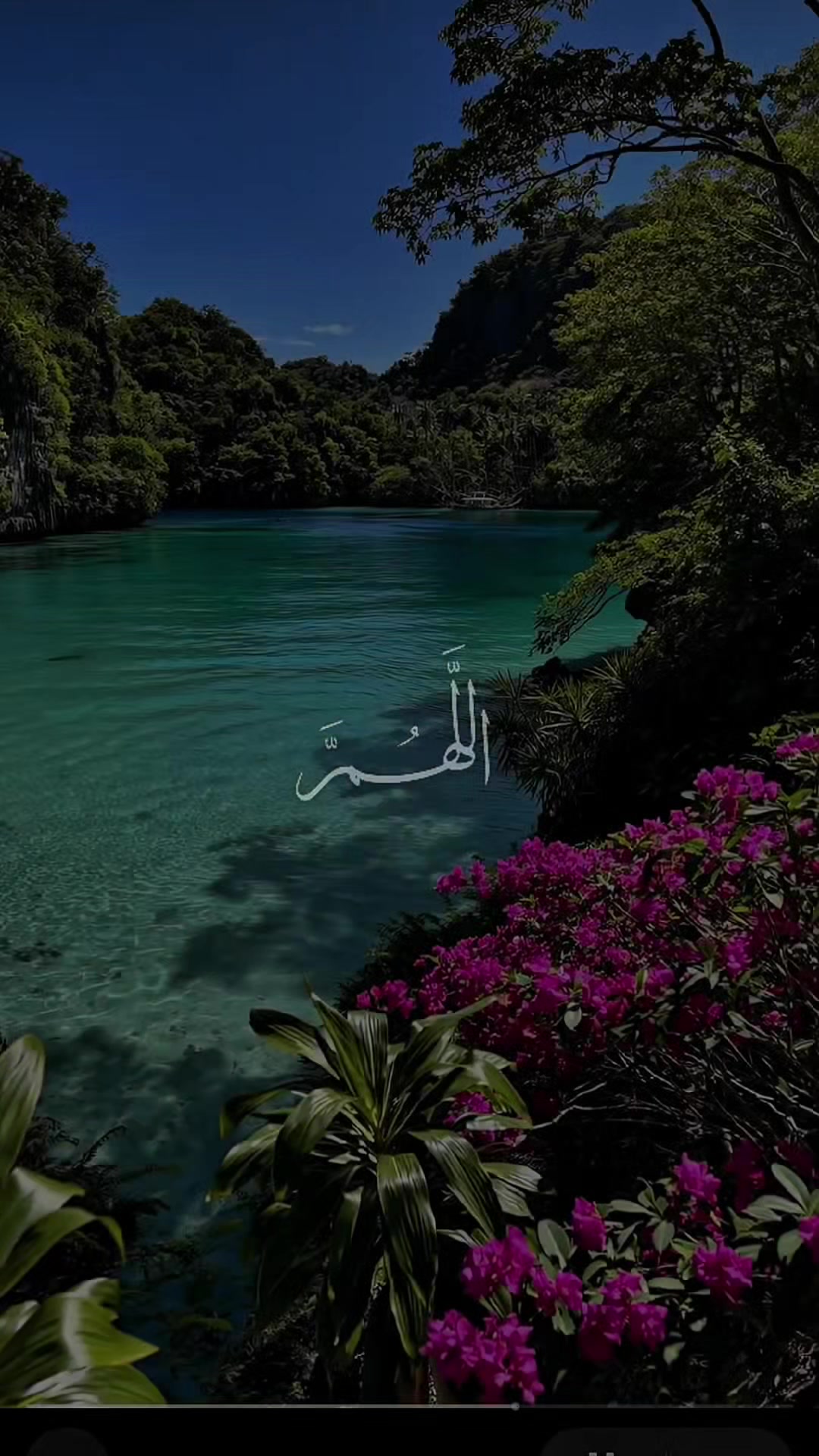 @shaz786🦋🦋🌺
