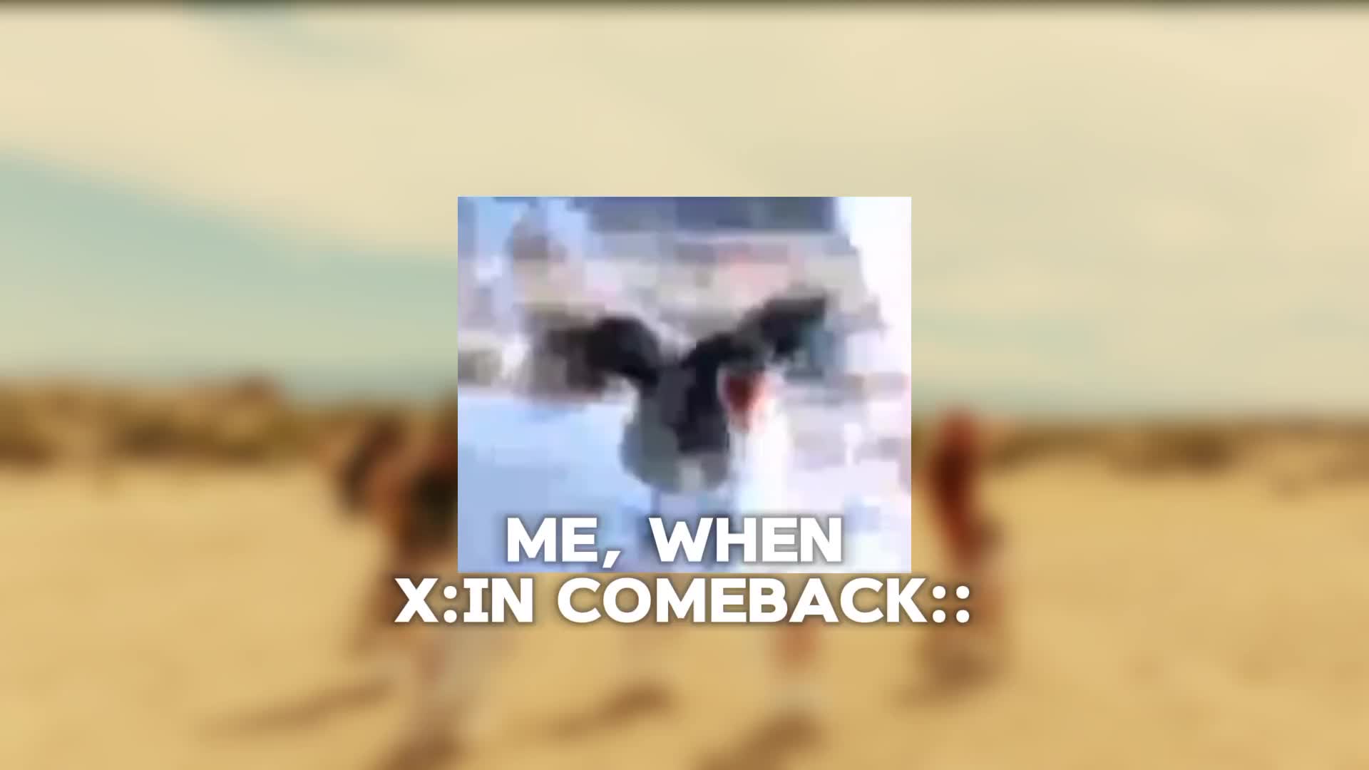@READY #1