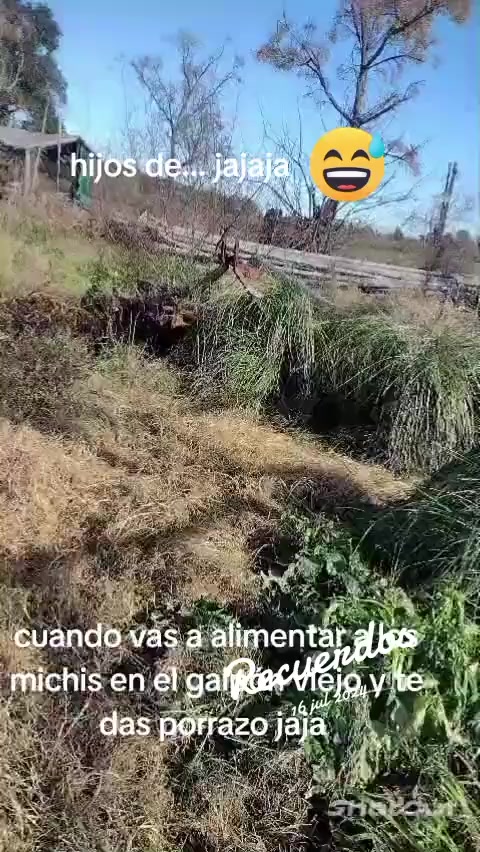 @arnaldo