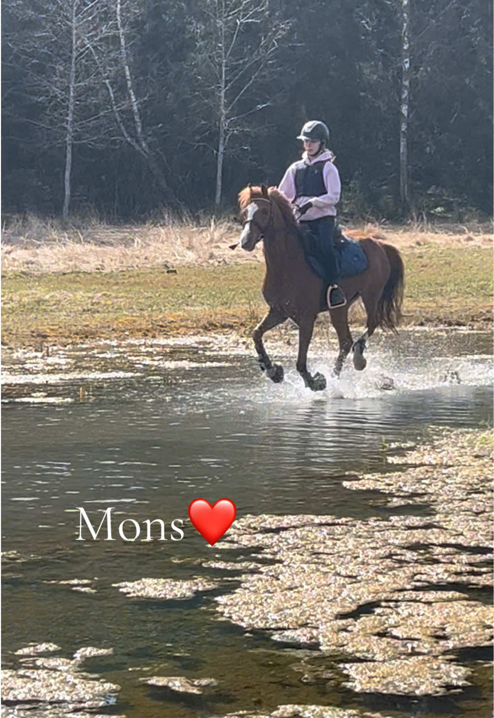 @Equestrian_tiiaa