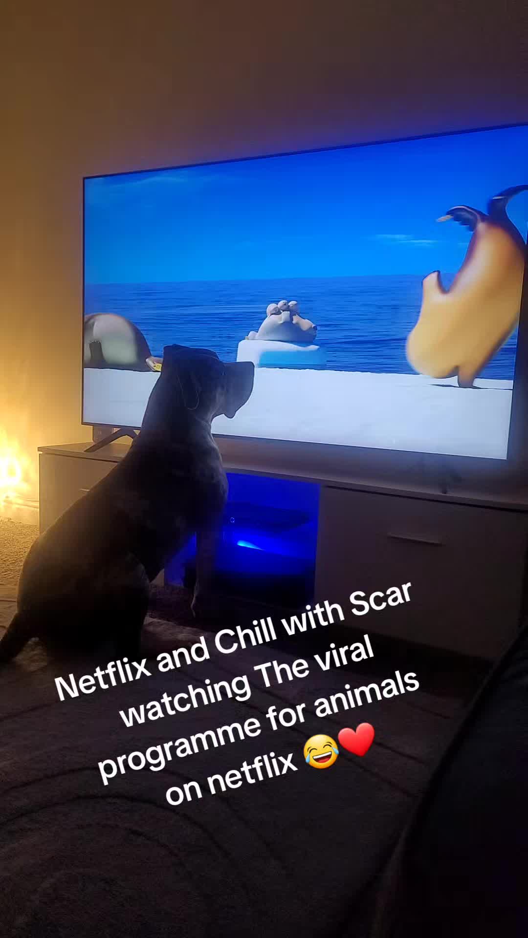 @Regal_ego