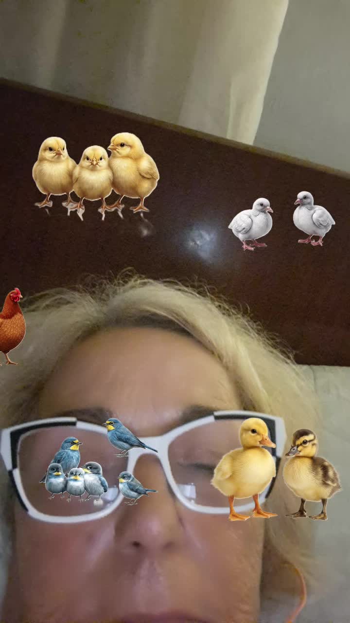 @Isabel Galindro