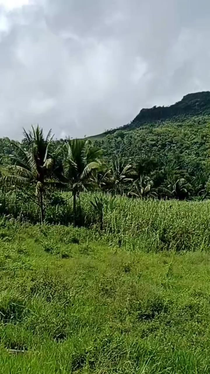 @🇲🇺💔it's me,G-#012#💔🇲🇺