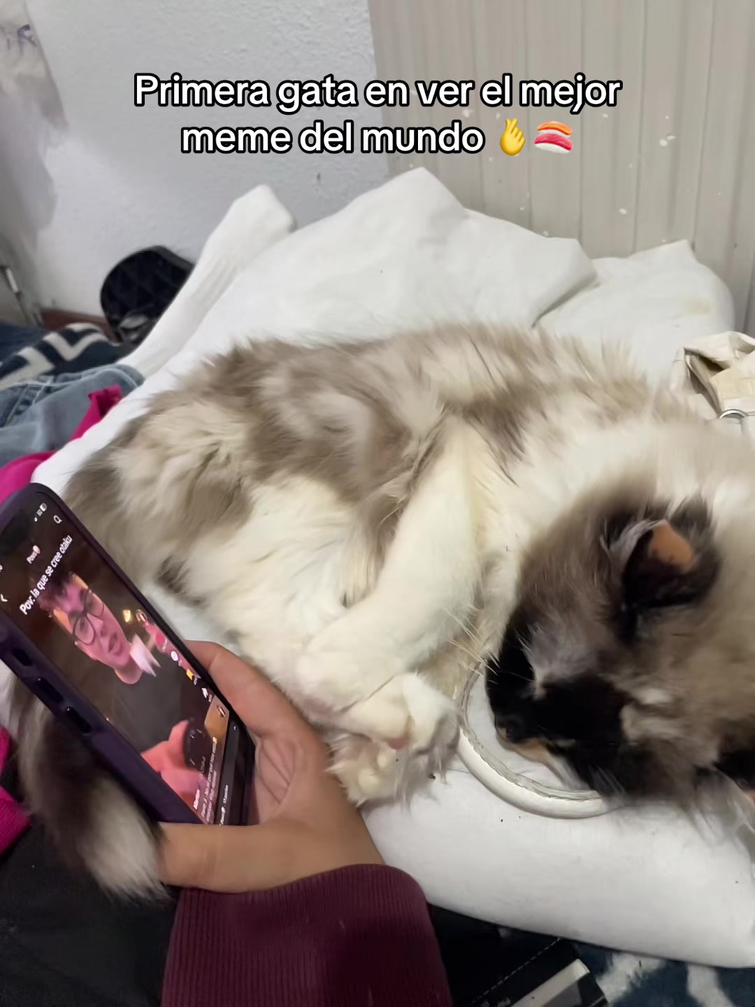 @Cigarunfumarro