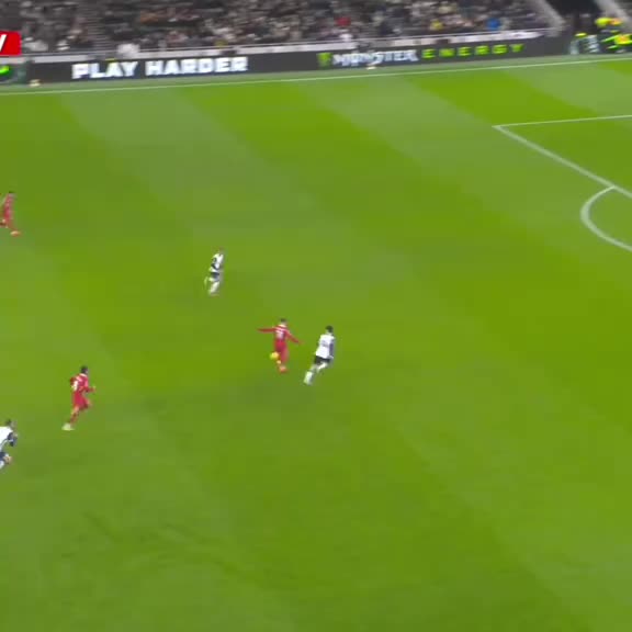 @lfc.hdzy
