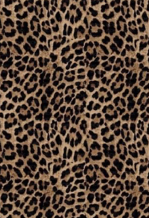 @💗࡛ an̄iya̱h⊹ 🐆