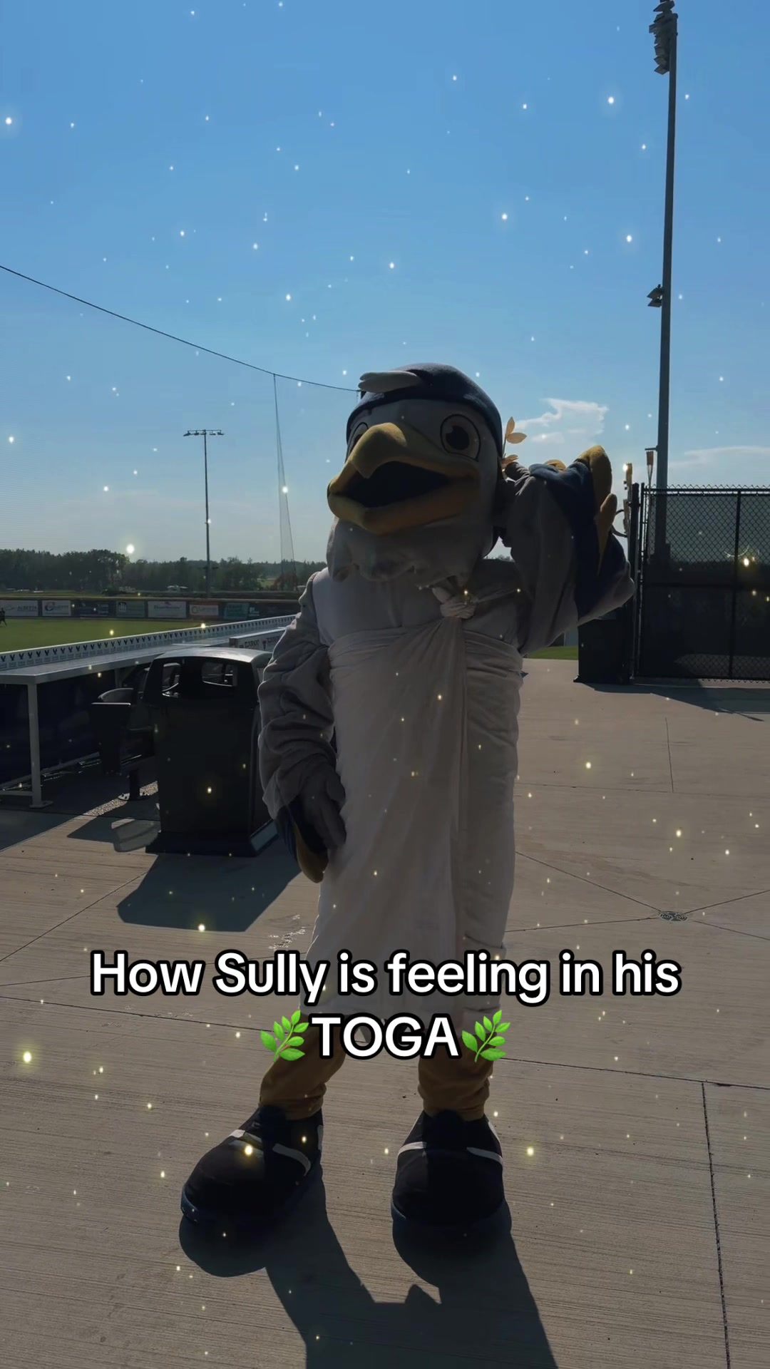 @Sylvan Lake Gulls